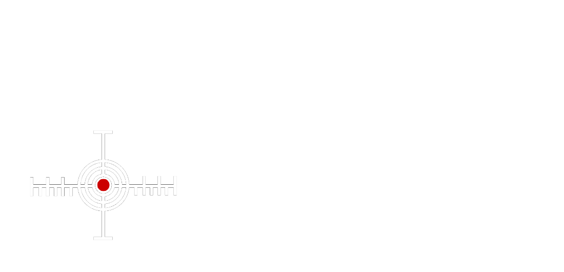 Stealth Cues Logo